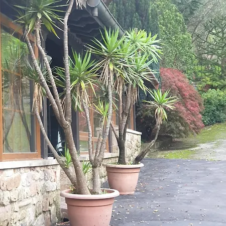 Medieval El Manjon Мини-отель 3*