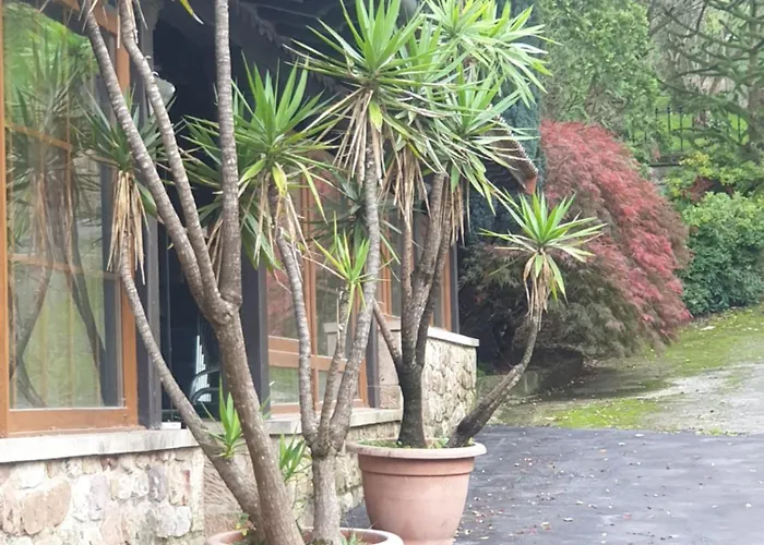 Medieval El Manjon 여관 3*